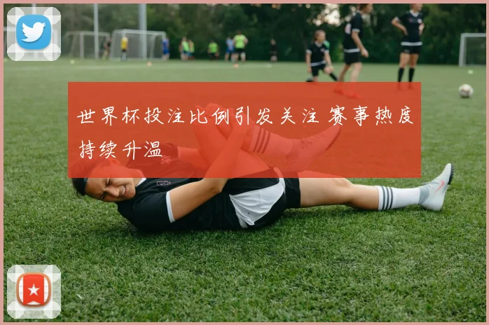 世界杯投注比例引发关注 赛事热度持续升温