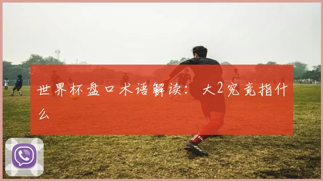 世界杯盘口术语解读：大2究竟指什么