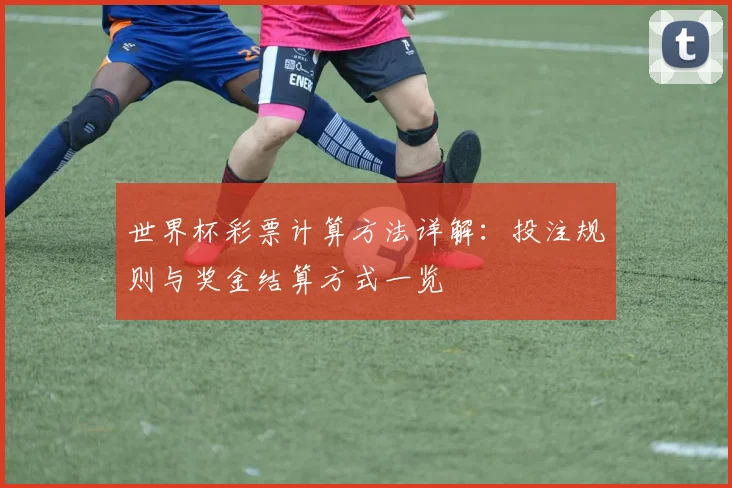 世界杯彩票计算方法详解：投注规则与奖金结算方式一览